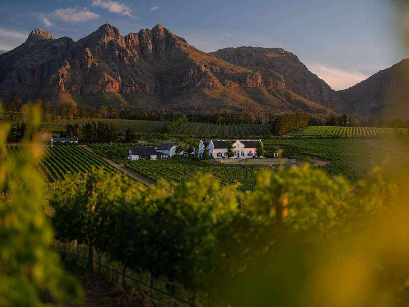 brookdale_manor_house_landscape