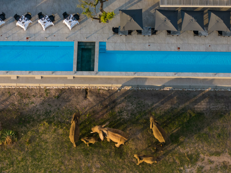 jamala_safari_lodge_aerial_pool