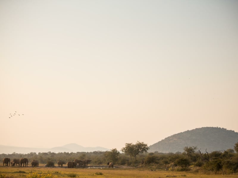 jamala_safari_lodge_sunset_view