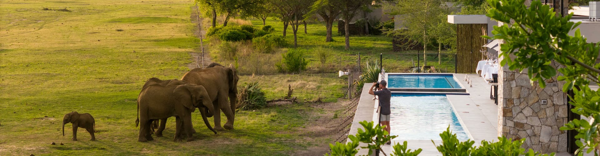 jamala_safari_lodge_wildlife_view