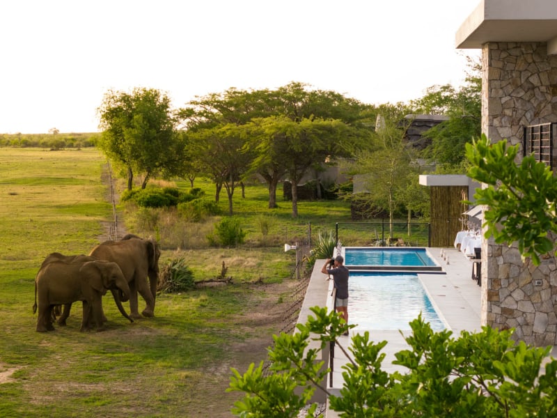 jamala_safari_lodge_wildlife_view