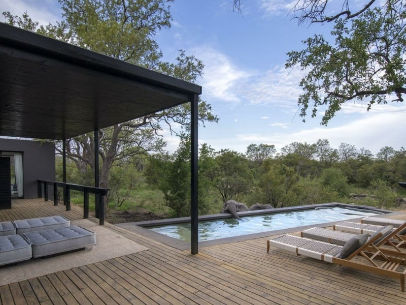 silvan_safari_pool_deck_suite_private