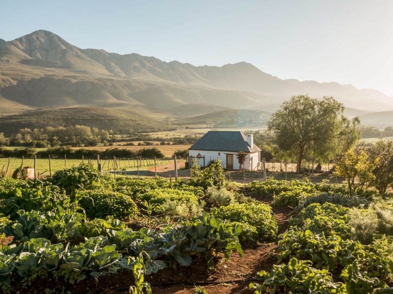 swartberg_country_manor_honeymoon_cottages