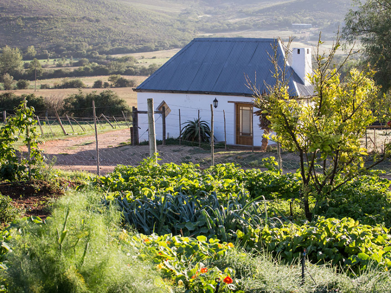 swartberg_country_manor_outside_view