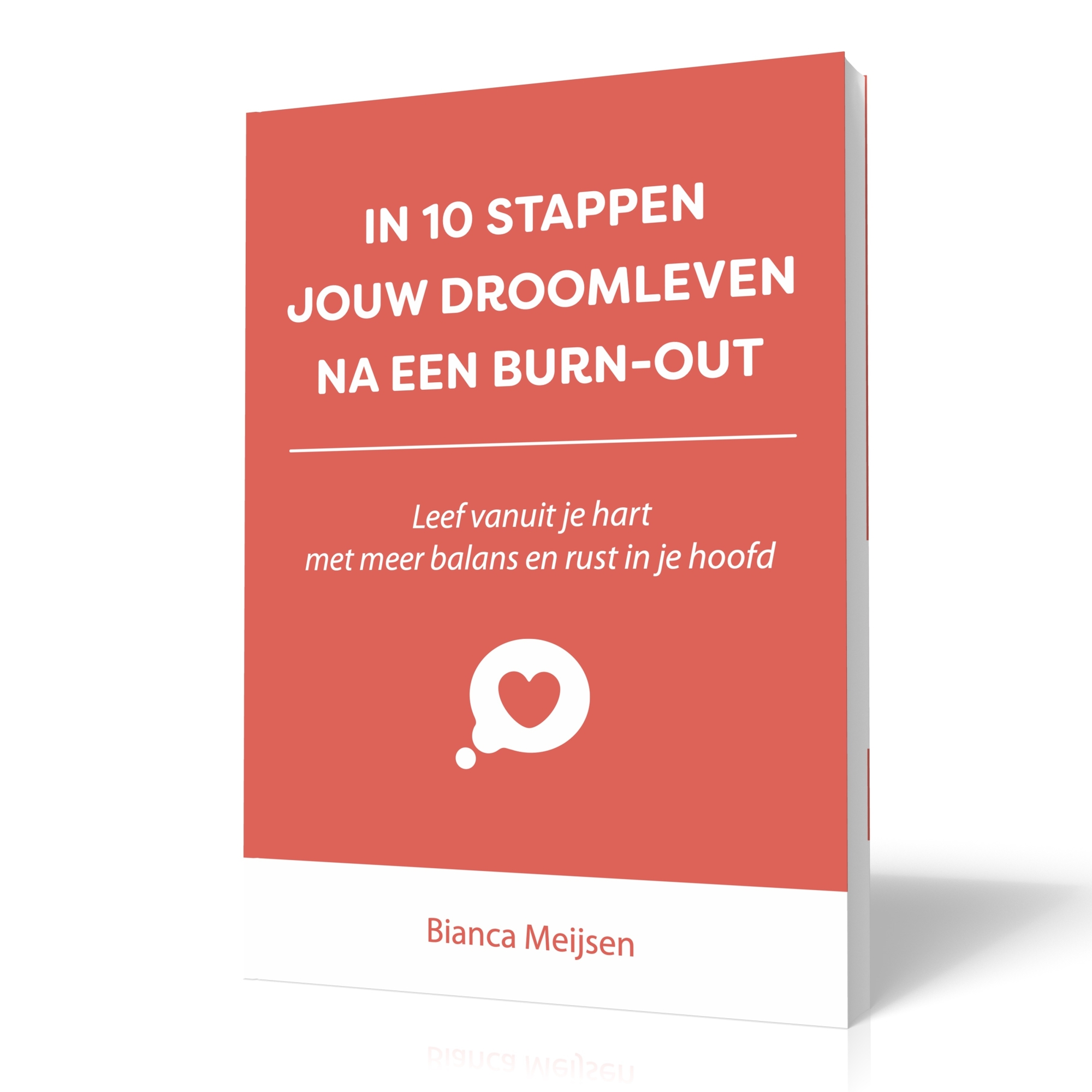 Boek - In 10 stappen jouw droomleven na een burn-out null