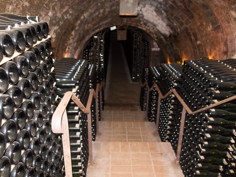 cava cellar