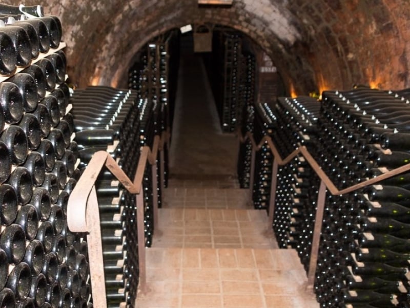 cava cellar