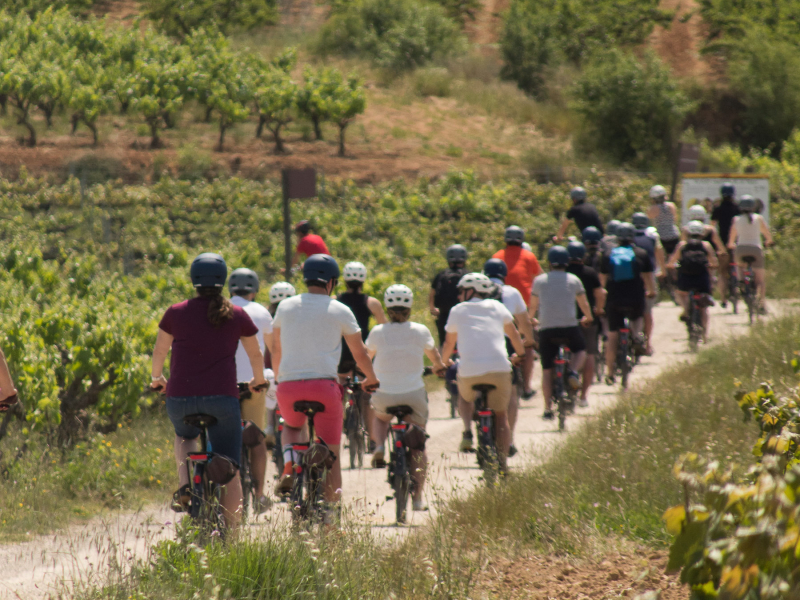 bike tour in Penedes
