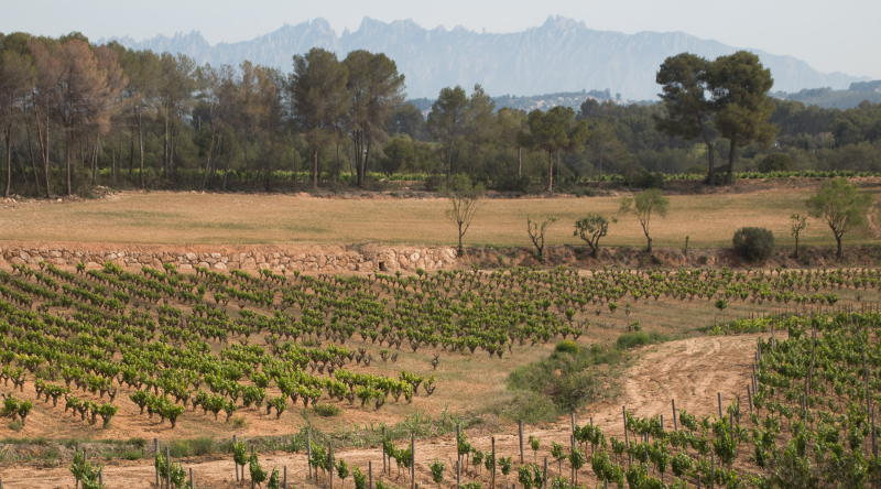 Gramona winery