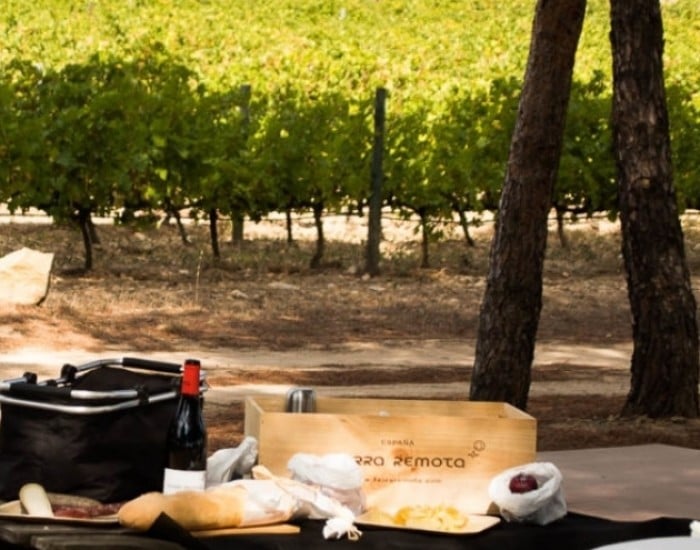 picknick in wijngaard