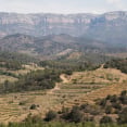 Priorat Gratallops