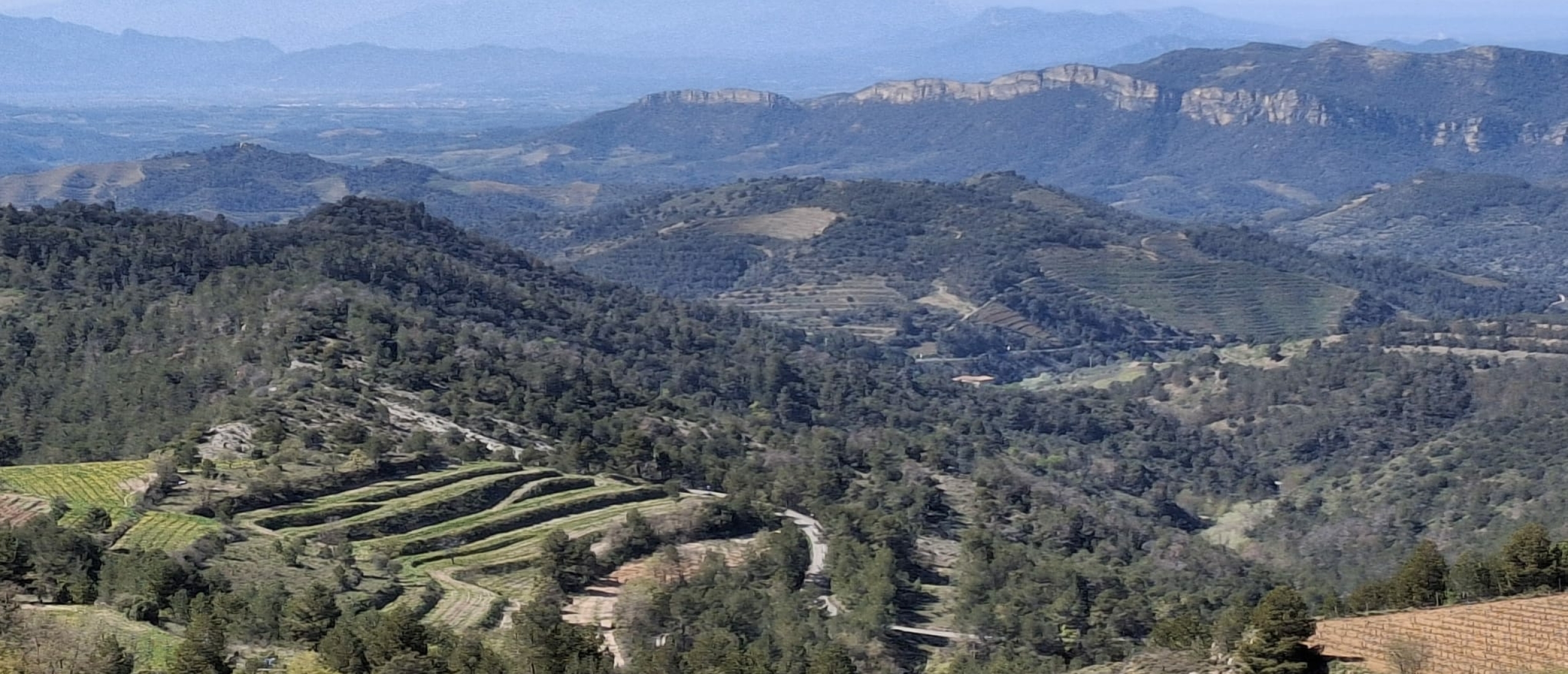 priorat and montsant wine regions