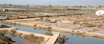 Salt, traditional fishing and birds at MónNatura Delta de lEbre