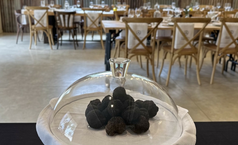 workshop truffle