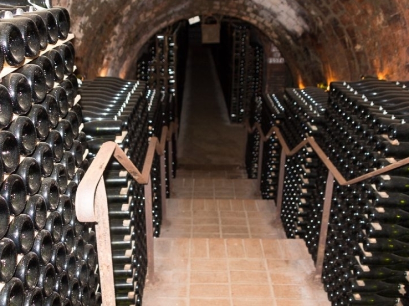 cavakelder in penedes