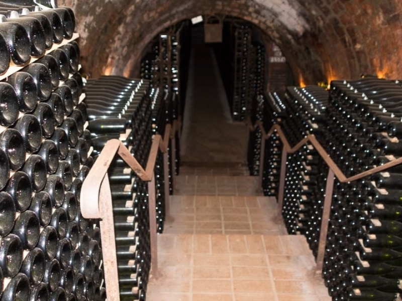 cavakelder in penedes