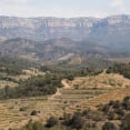 Priorat Gratallops