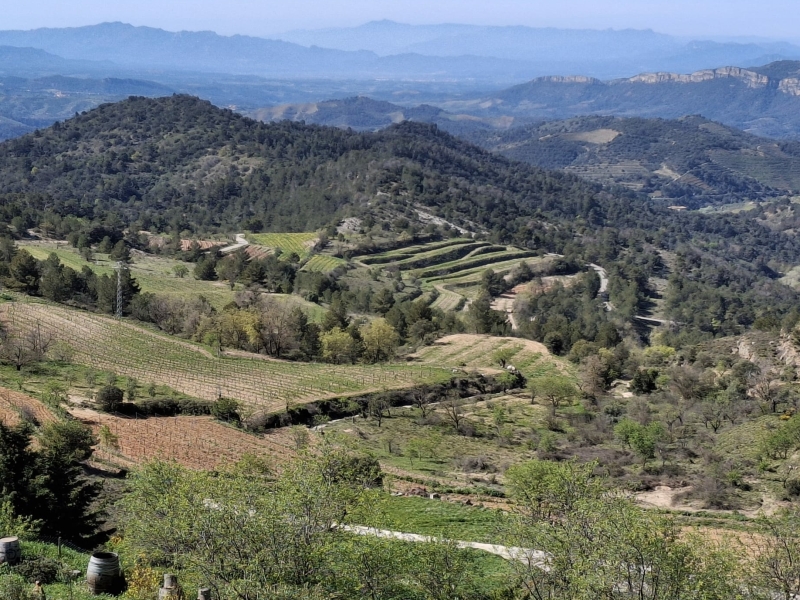 priorat
