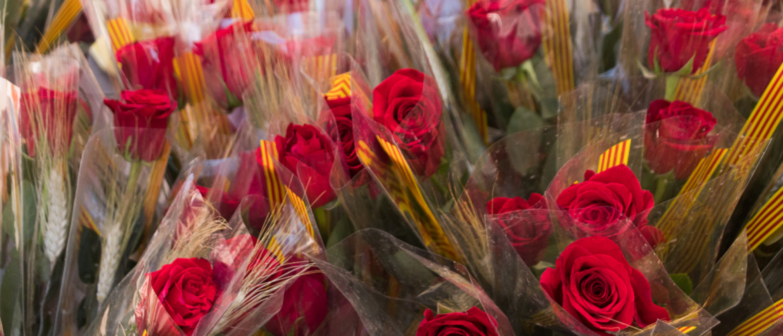 Dia de Sant Jordi, dag van de rozen en boek