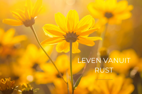Leven vanuit Rust Leven vanuit Rust bloemen geel