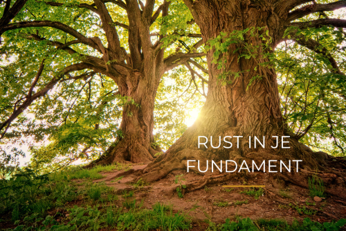 Rust in je fundament Bomen zon