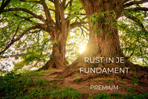Rust in je fundament Premium bomen zon