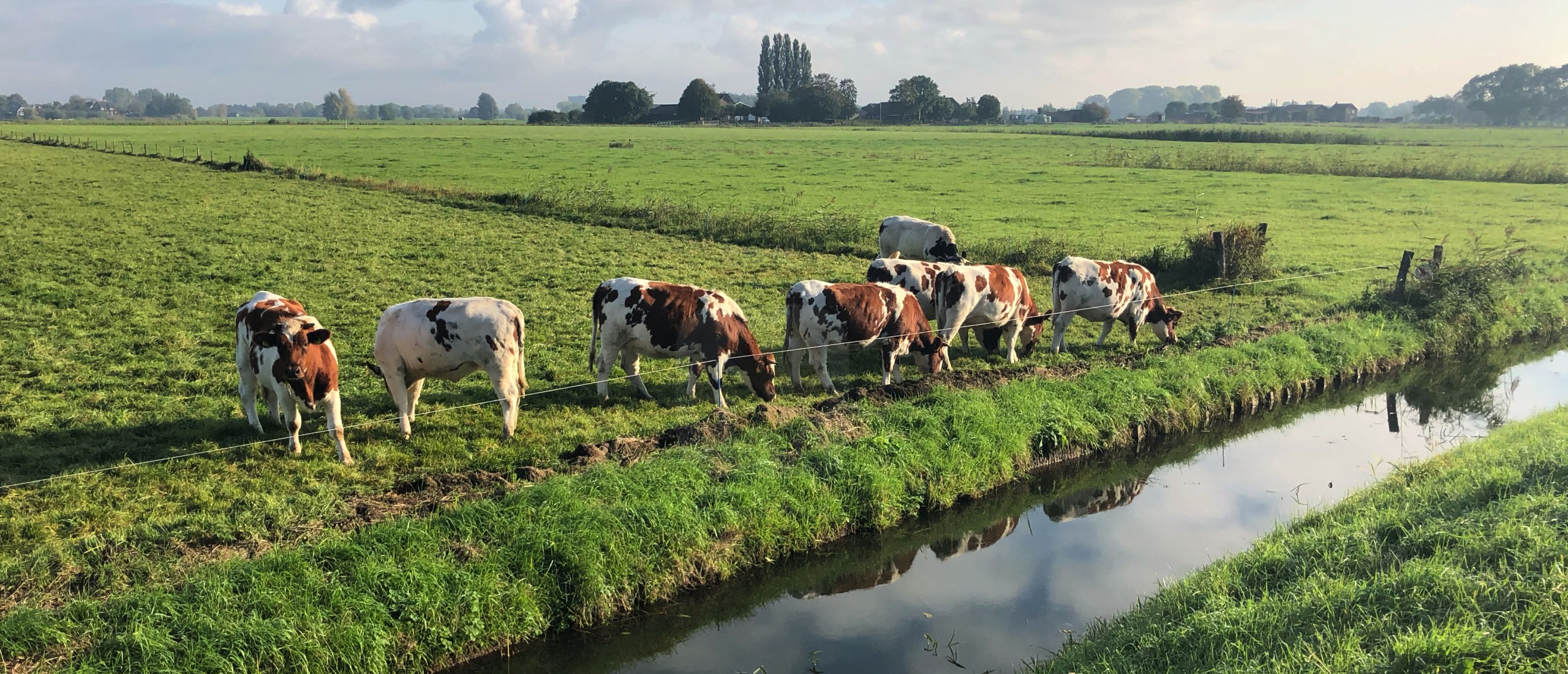 Subsidieopenstelling 'productieve investeringen landbouw Fryslân 2026’