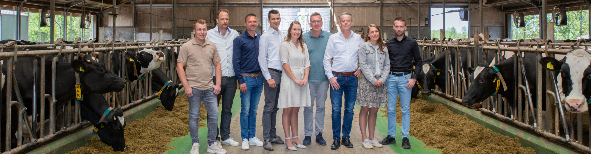 factor 4 change team
