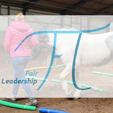 Fair Leadership in Organizations www.fairleadership.com contact@fairleadership.com