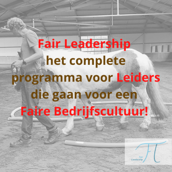 www.fairleadership.com contact@fairleadership.com