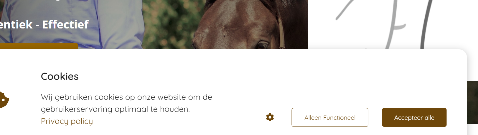 Fair Leadership by PaardenInzicht www.fairleadership.com