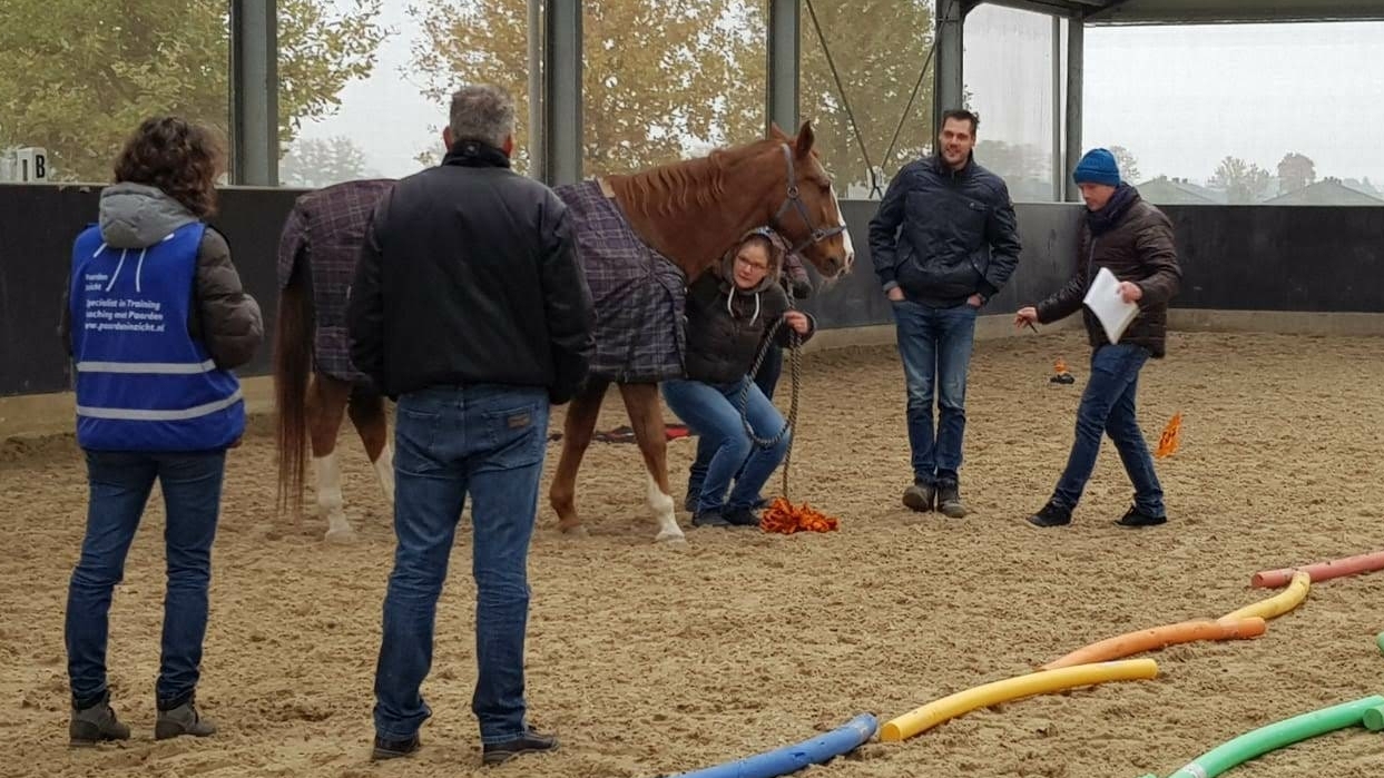 Fair Leadership by PaardenInzicht www.fairleadership.com