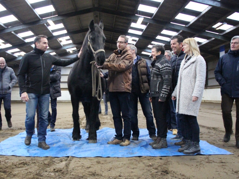 Fair Leadership by PaardenInzicht www.fairleadership.com