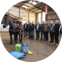 Fair Leadership in Organizations by PaardenInzicht
