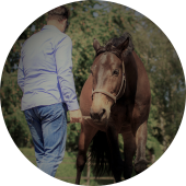 www.fairleadership.com