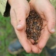 Interesse in kruiden en planten?