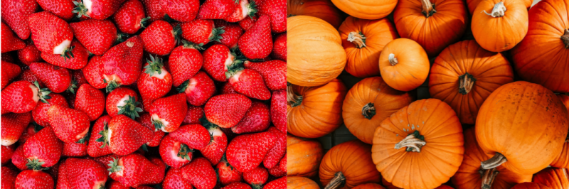 Een stijlvol ontbijtbuffet met verse seizoensproducten zoals fruit, brood en groenten, gepresenteerd in een luxe setting.