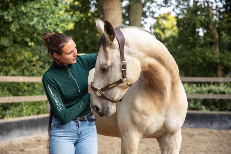 Fysiotherapiebehandeling mobilisatie hals paard