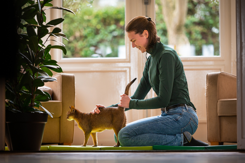 Fysiotherapie massage poes