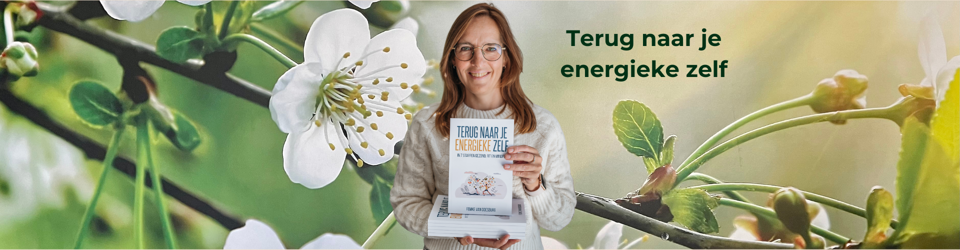 Boek Terug naar je energieke zelf