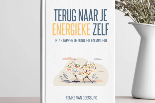Paperback Terug naar je energieke zelf