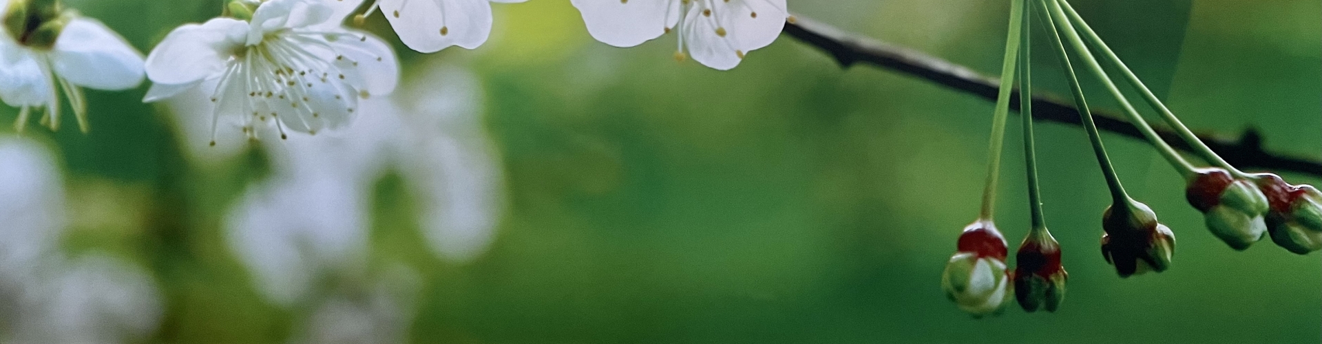 Header Femke van Doesburg