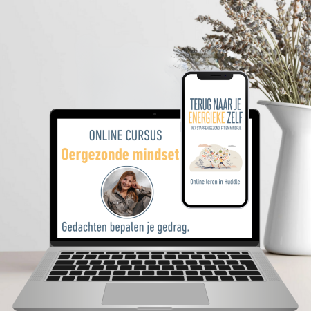 Oergezonde mindset