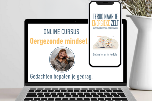 Oergezonde mindset