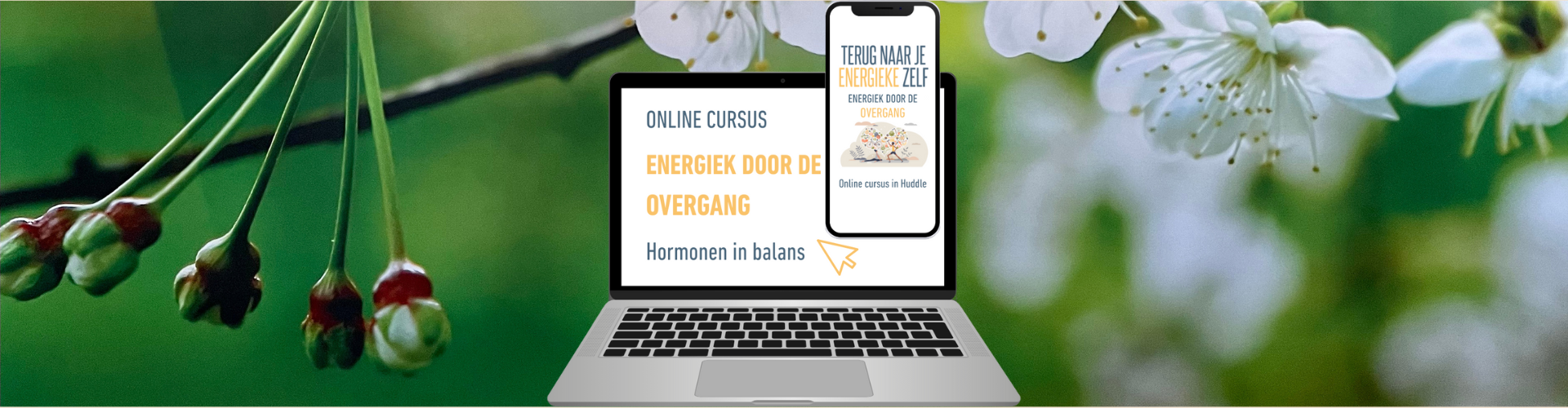 Energiek door de overgang