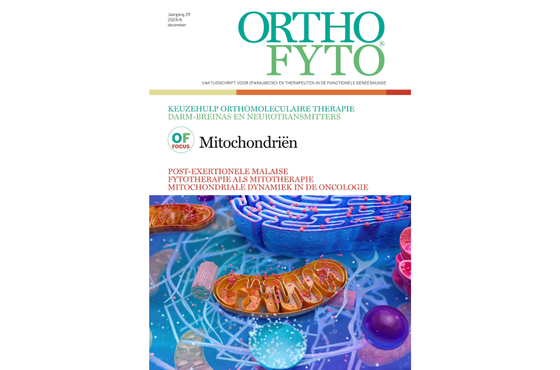 De darm-breinconnectie bij depressie en angst