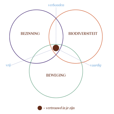 Fields Of Being 3B's Bezinning Beweging Biodiversiteit