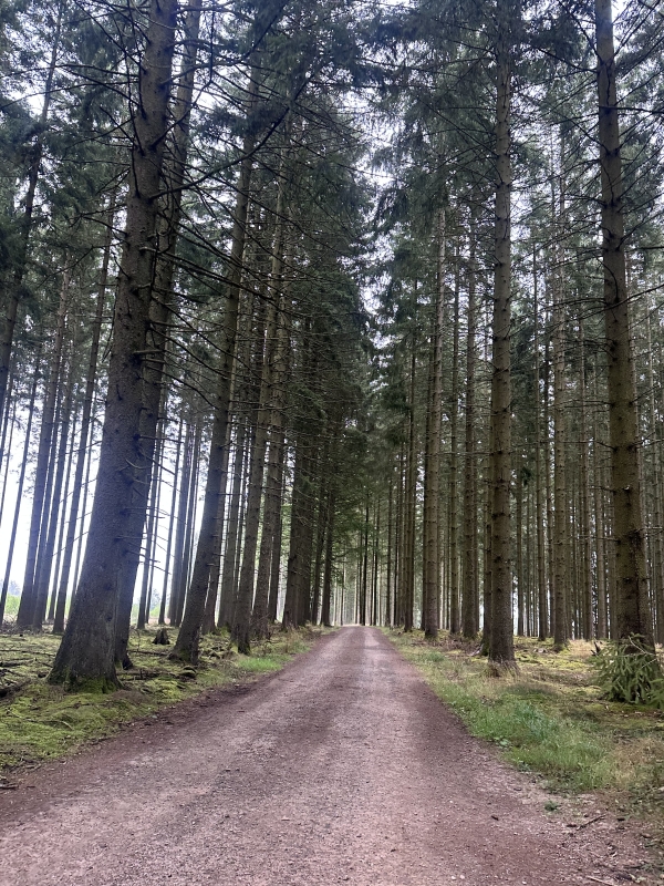 Ardennen 2025