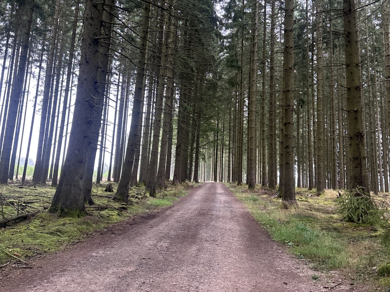 Ardennen 2025 Ardennen 2025