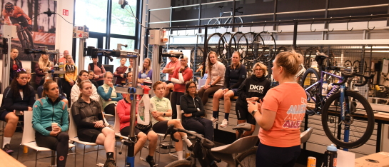 Bandenworkshop Schwalbe